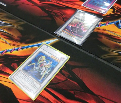 [ScrapDragon]