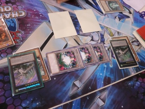 Pegasus will fly you to Toon World