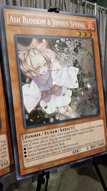 GIANT Ash Blossom